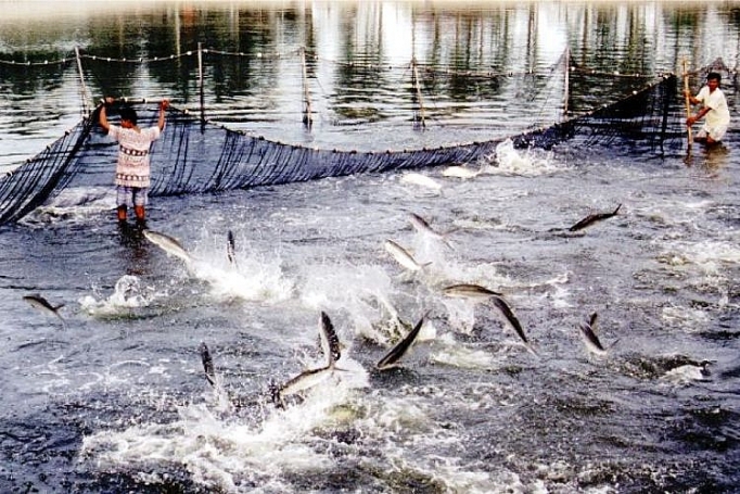 Việt Nam – Na Uy: Thúc đẩy hợp tác xứng với tiềm năng viet nam na uy thuc day hop tac xung voi tiem nang