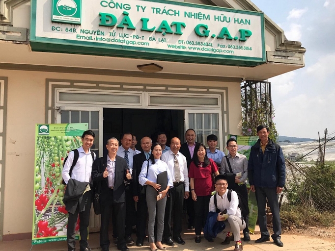 Xuất khẩu sang Singapore: Linh hoạt trước chính sách mới xuat khau sang singapore linh hoat truoc chinh sach moi