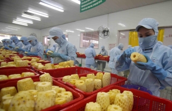 UKVFTA: Tận dụng lợi thế cạnh tranh, đẩy nhanh xuất khẩu