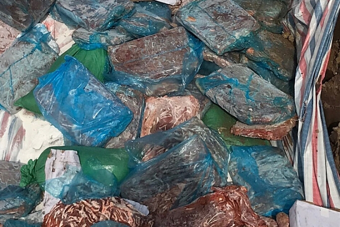 tieu huy hon 72 tan noi tang dong vat khong ro nguon goc tai hai duong