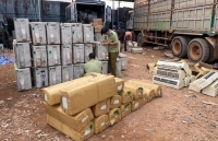 Đột kích kho trung chuyển điện lạnh nhập lậu từ biên giới Tây Nam