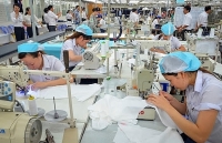 Tận dụng ưu đãi thuế quan, thúc đẩy xuất khẩu sang Thụy Điển