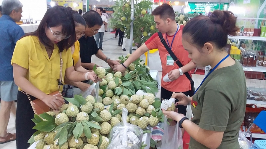 0203 ynh khach chyn mua na chi lyng