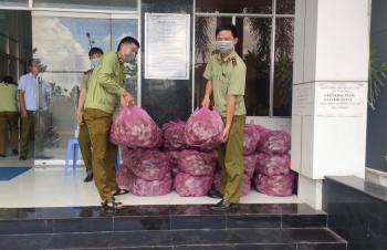 Quản lý thị trường Tiền Giang: Xúc tiến các giải pháp hỗ trợ tiêu thụ nông sản