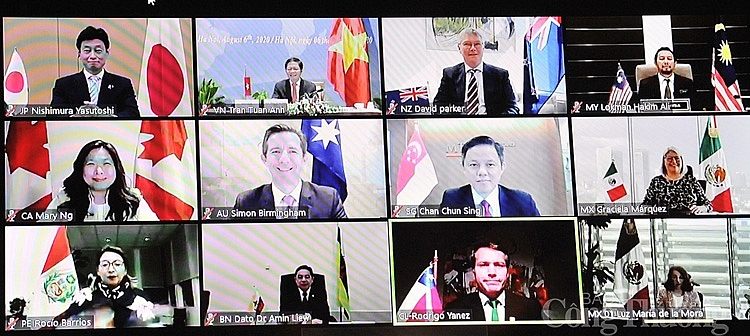 undefined 4641 cptpp bo truong1