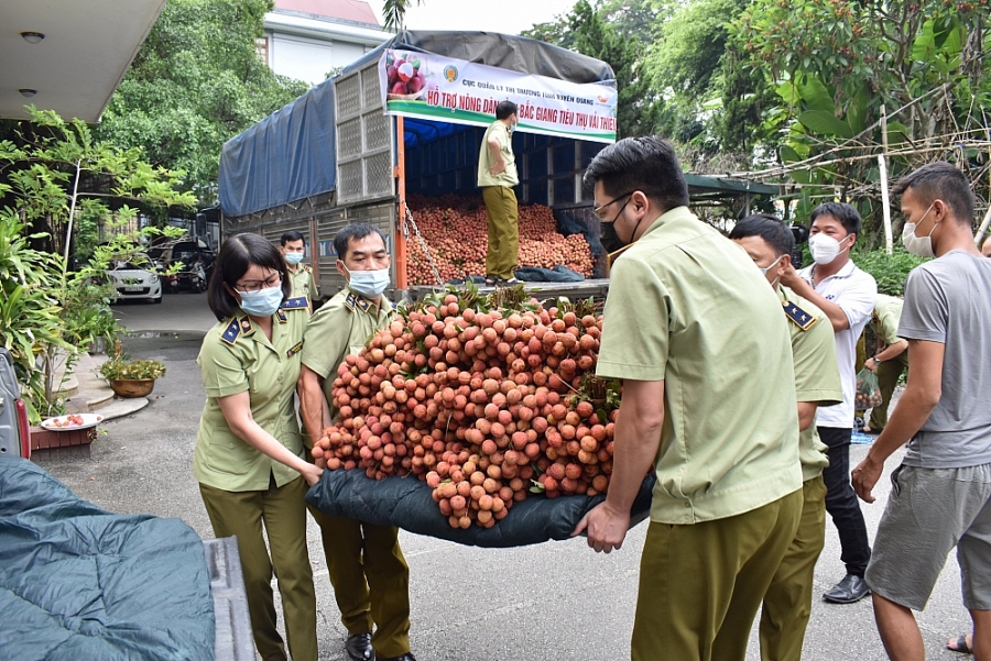 Trên 5.000 tấn vải thiều được lực lượng QLTT kết nối thành công