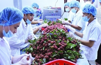 Nông sản Việt Nam “được lòng” thị trường EU