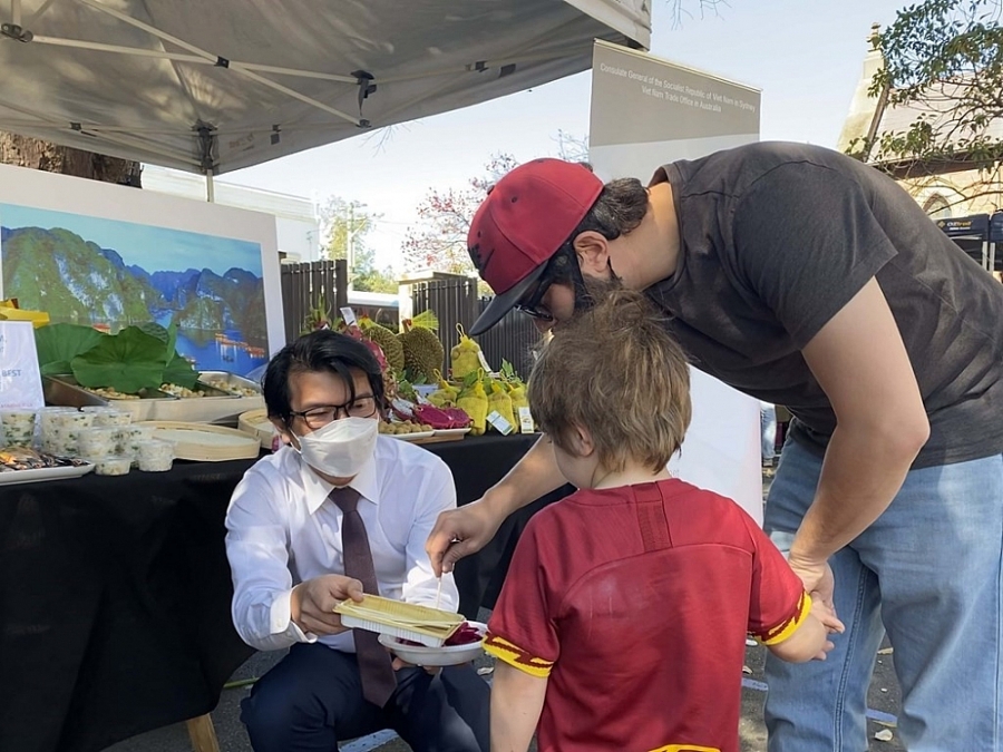 Thanh long Việt Nam “phủ sắc đỏ” tại Úc Thanh long Việt Nam “phủ sắc đỏ” tại Úc