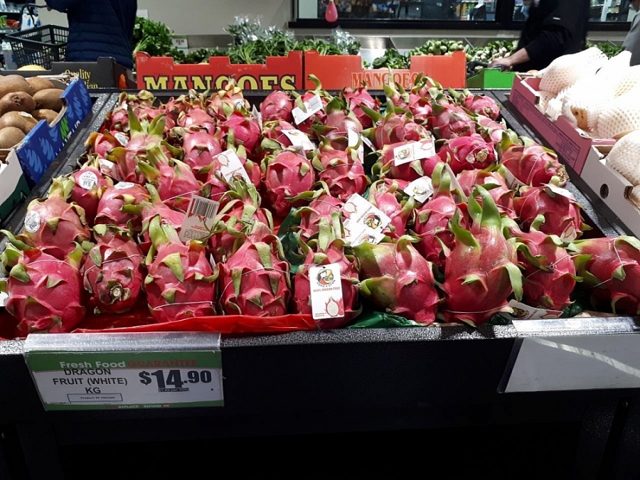 Thanh long Việt Nam “phủ sắc đỏ” tại Úc Thanh long Việt Nam “phủ sắc đỏ” tại Úc