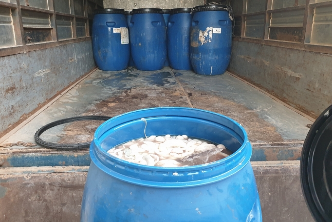 lang son thu giu 800kg long lon tuoi uop lanh khong dam bao dieu kien ve sinh thu y