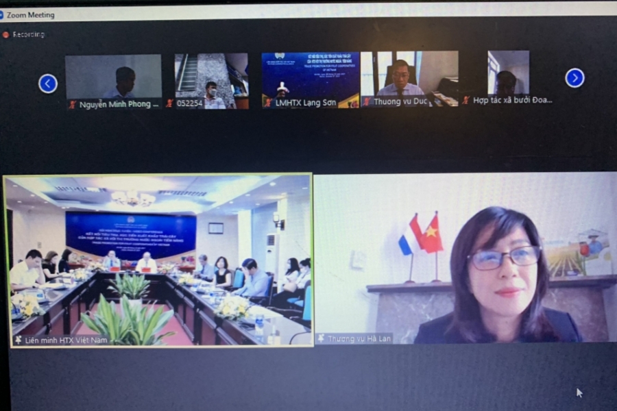 Hợp tác xã kết nối cùng doanh nghiệp đưa trái cây “xuất ngoại”