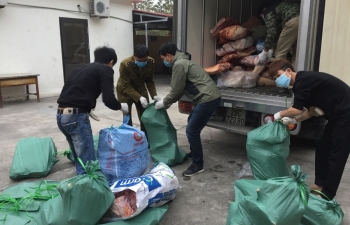 Hải Dương: Ngăn chặn kịp thời hơn 2 tấn thịt lợn bốc mùi đang trên đường đi tiêu thụ