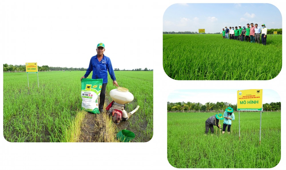 Giải pháp nào để thị trường phân bón bớt “nóng”? Giải pháp nào để thị trường phân bón bớt “nóng”?