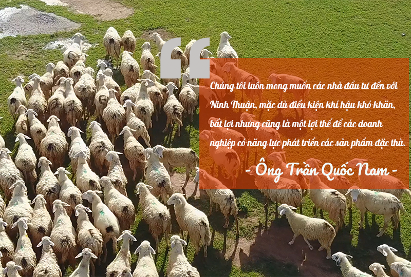 [Longform] Nắng mới lên trên “miền sa thảo”