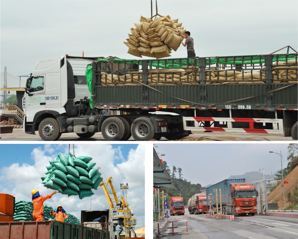 [Longform] Không để nông sản “tắc đường” sang Trung Quốc