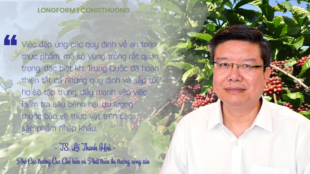 [Longform] Không để nông sản “tắc đường” sang Trung Quốc