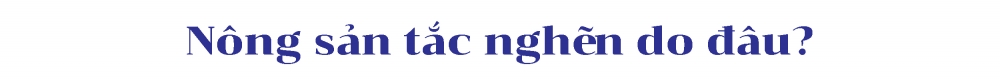 [Longform] Không để nông sản “tắc đường” sang Trung Quốc