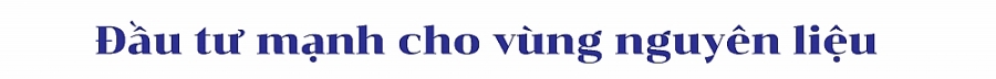 [Longform] Không để nông sản “tắc đường” sang Trung Quốc