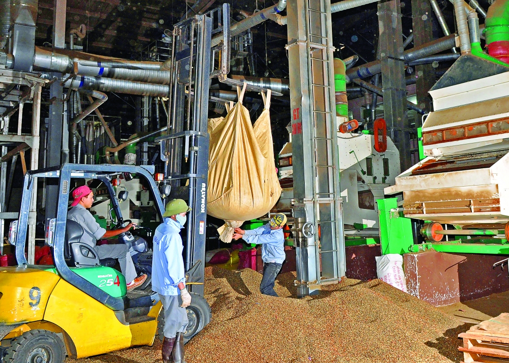 Netherlands, Vietnam to boost economic ties netherlands vietnam to boost economic ties