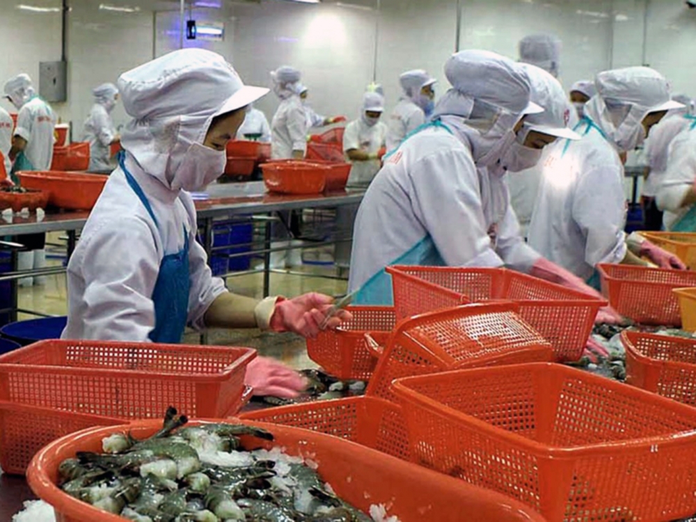 Vietnam reaps rewards of Trade Facilitation Agreement vietnam reaps rewards of trade facilitation agreement