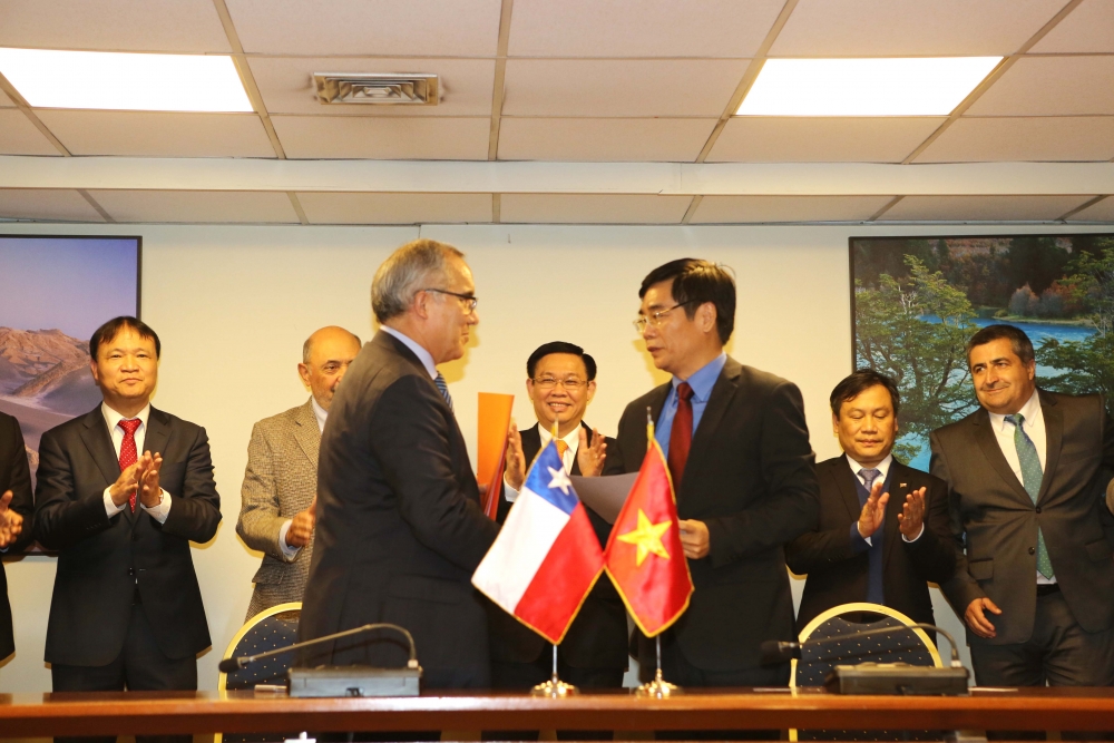 vietnam chile make use of cptpp in market connection