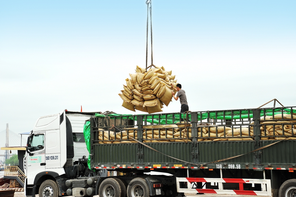 africa middle east markets untapped potential for vietnam