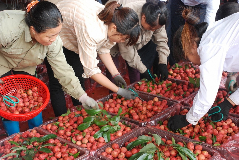 The imperative of joining global supply chains the imperative of joining global supply chains