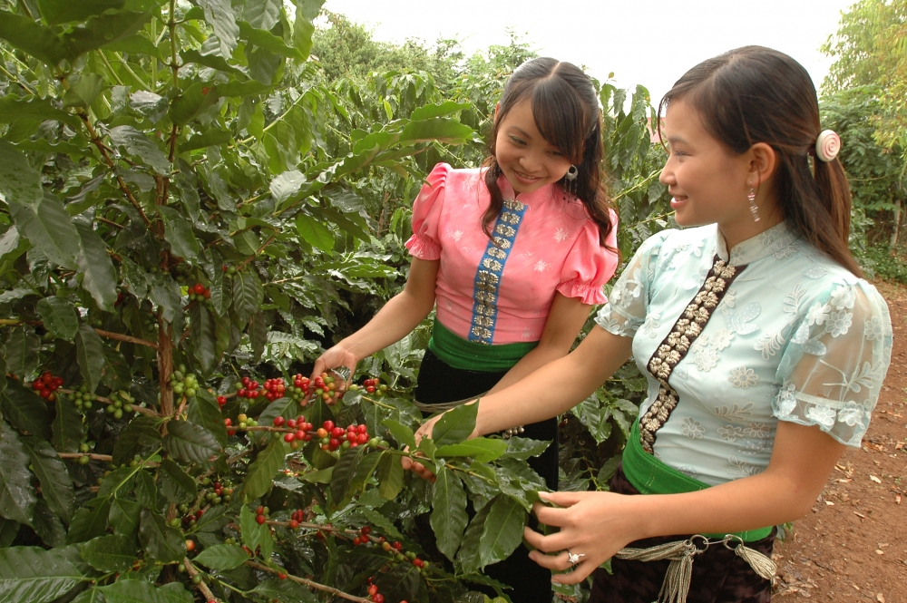 Trade growing between Vietnam, the UAE and Kuwait trade growing between vietnam the uae and kuwait