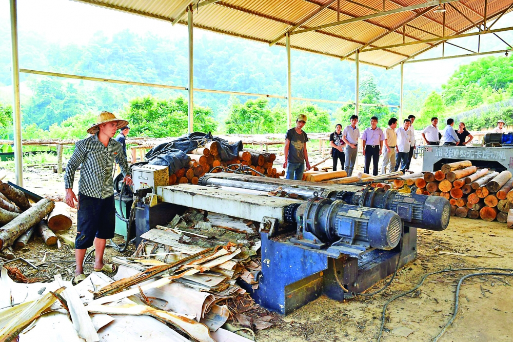 cao bang focuses on developing support industries