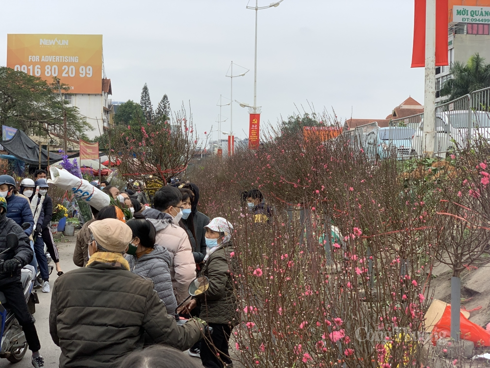 Tại chợ Quảng An (Tây Hồ, Hà Nội), đào được bày bán khá nhiều nhưng lượng khách đến đây mua thì vắng hơn mọi năm.