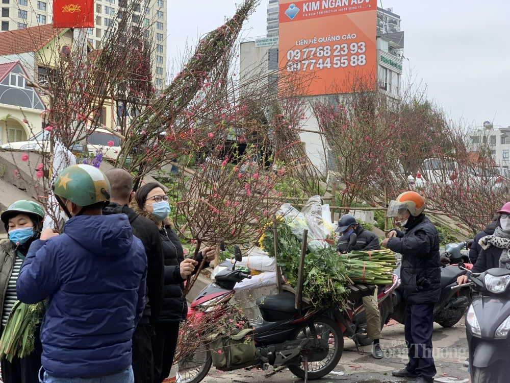 Các cành đào rừng Tây Bắc có mức giá dao động từ 100.000 đồng đến 3-4 triệu đồng. “Mưa gió cố bán nốt để gỡ gạc. Nếu không kịp thì có lẽ phải chấp nhận vứt bỏ toàn bộ, bởi tiền công vận chuyển khá đắt đỏ”, anh Hưng ngậm ngùi.