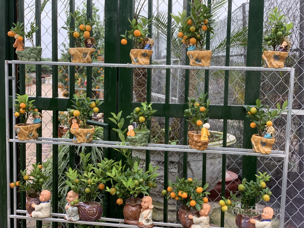Những chậu quất bonsai “thần tài”, “phúc lộc thọ”,… độc đáo, bắt mắt với giá bán từ 150 - 300 nghìn đồng được người mua yêu thích.