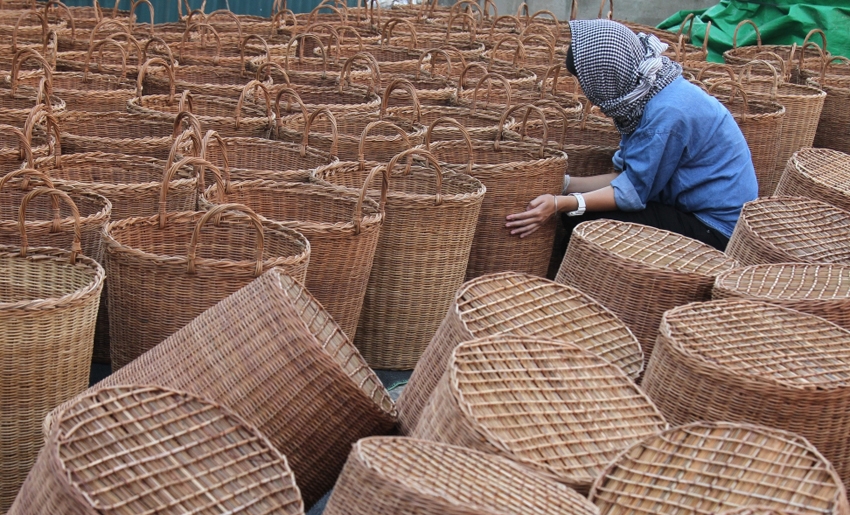 Sản phẩm được làm từ cỏ tế (guột) ở Phú Túc được thị trường nước ngoài ưa chuộng  Sản phẩm được làm từ cỏ tế (guột) ở Phú Túc được thị trường nước ngoài ưa chuộng