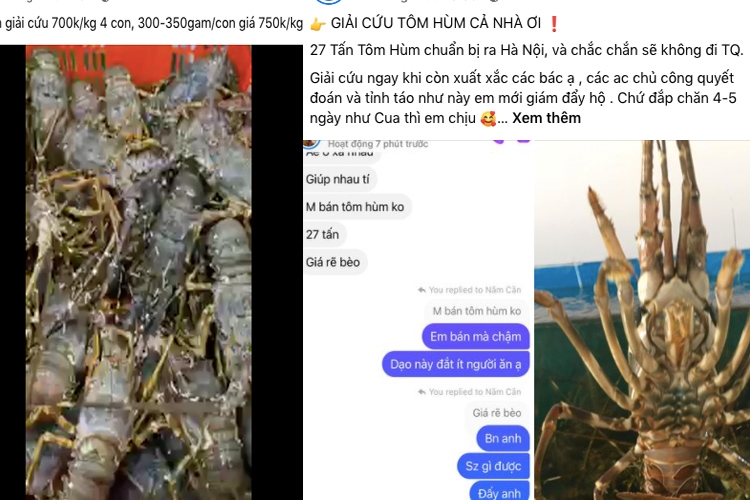 các tiểu thương hay nhà hàng hải sản cũng phải đăng lên mạng xã hội để kêu gọi nhờ giải cứu các tiểu thương hay nhà hàng hải sản cũng phải đăng lên mạng xã hội để kêu gọi nhờ giải cứu