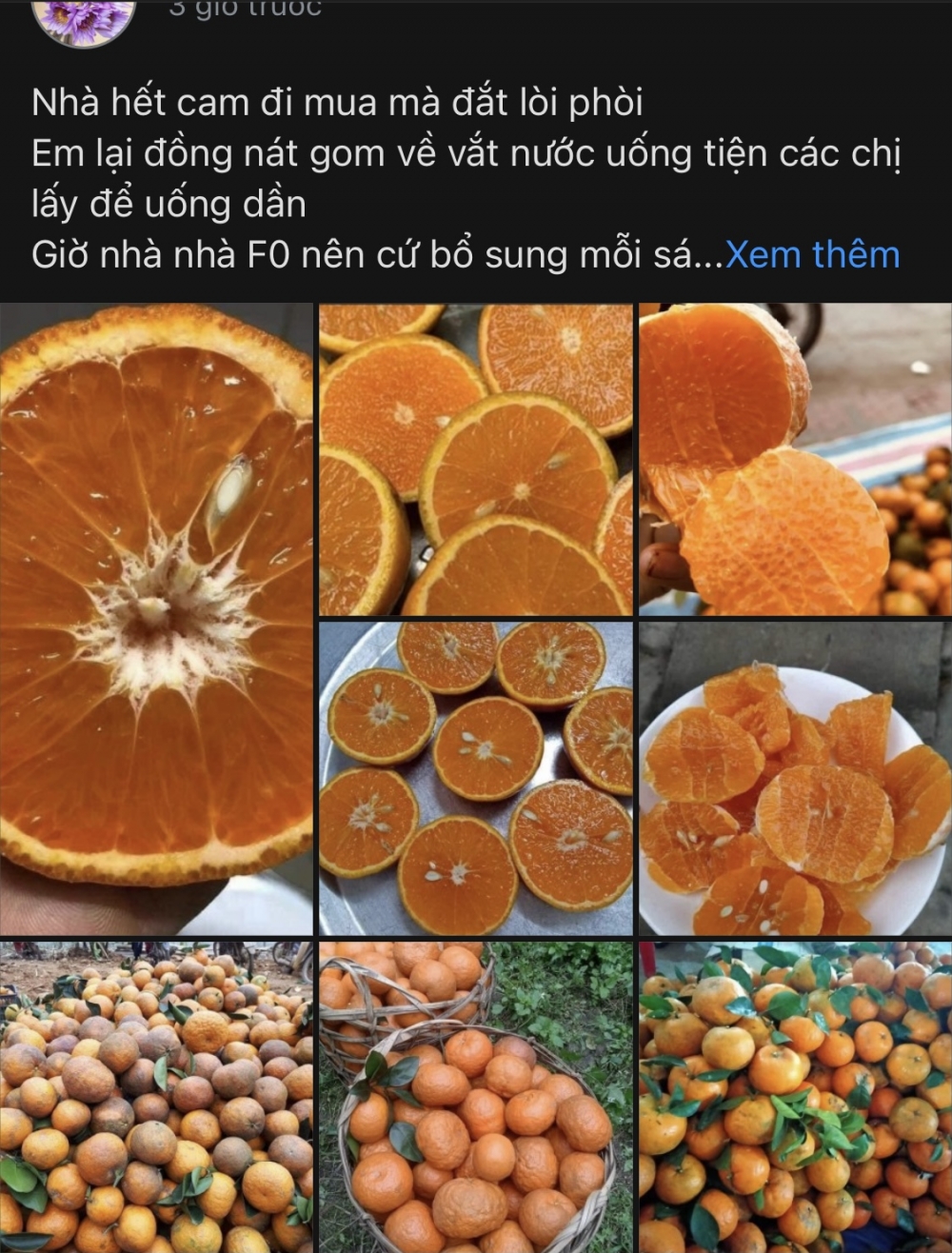 Nhu cầu tăng cao, hoa quả bổ sung vitamin C “cháy hàng” Nhu cầu tăng cao, hoa quả bổ sung vitamin C “cháy hàng”