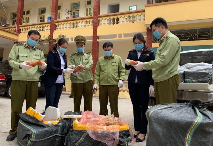 Thu giữ 360 kg trứng gia cầm non đông lạnh không rõ nguồn gốc xuất xứ Thu giữ 360 kg trứng gia cầm non đông lạnh không rõ nguồn gốc xuất xứ