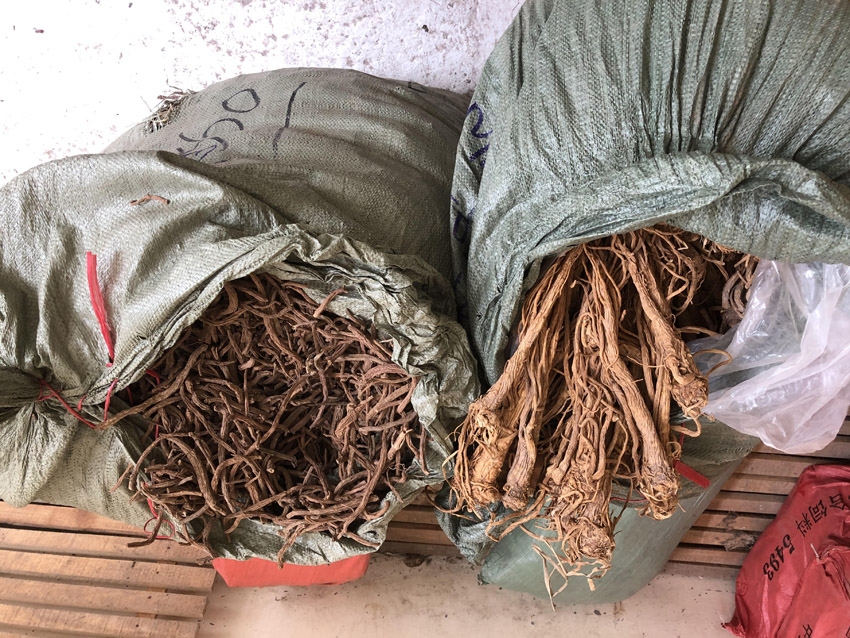                   Hai mặt hàng Đương quy và Tục đoạn