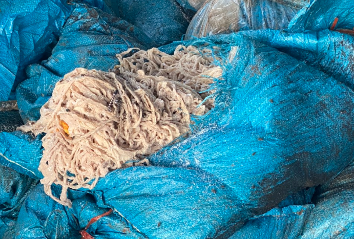 Lòng lợn chứa đựng trong các bao dứa, bốc mùi hôi thối, chảy nước