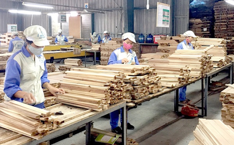 Gia Lai tích cực tư vấn, kết nối việc làm cho lao động gia lai tich cuc tu van ket noi viec lam cho lao dong