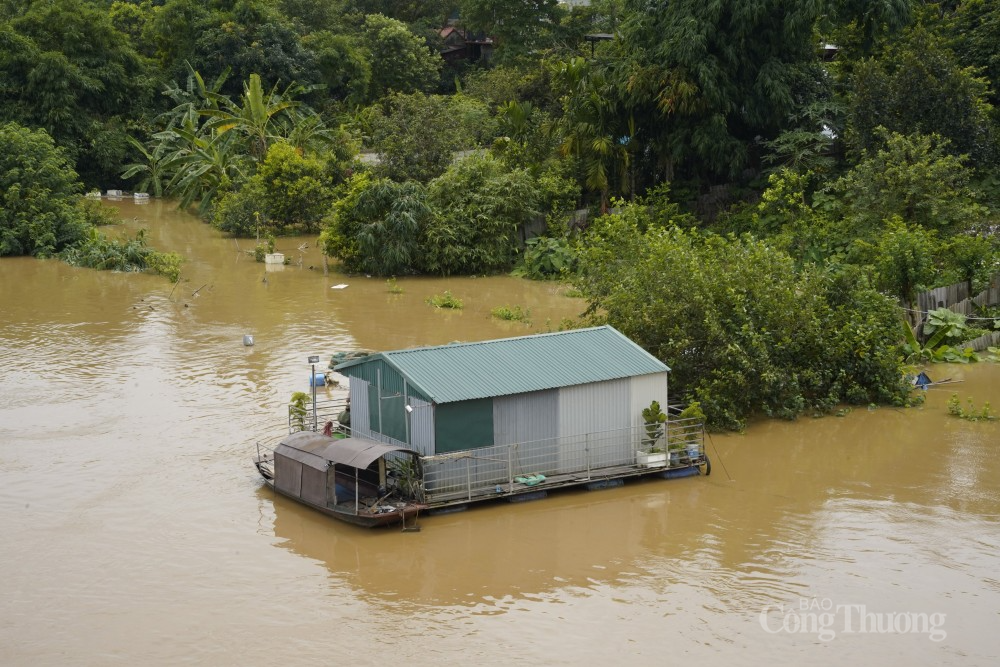 Ốc đảo giữa sông Hồng chìm trong nước.