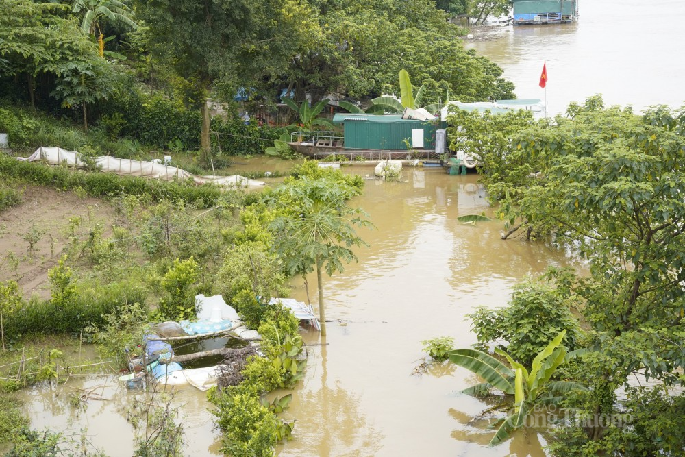 Sau những trận mưa lớn, nhà máy thủy điện Hòa Bình xả lũ 4 cửa đáy khiến mực nước sông Hồng chỉ trong một ngày đã dâng lên rất cao, xấp xỉ 6 m, dưới mức báo động 1 là 3,5 m.