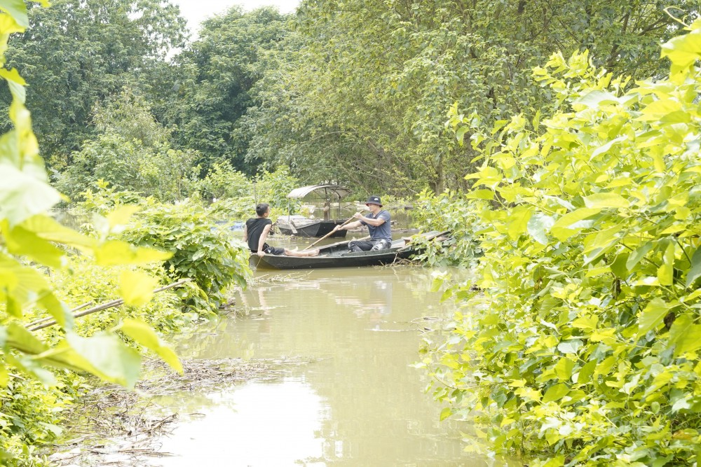 Tại một số đường khu vực nội đô và bãi giữa sông Hồng ngày thường có thể đi ôtô hoặc xe máy thì nay bị ngập sâu tới gần 2 m. Người dân sinh sống ở khu vực này phải di chuyển bằng đò.