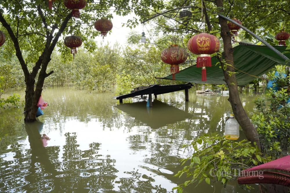 Nhiều khu vực ven sông chìm trong biển nước