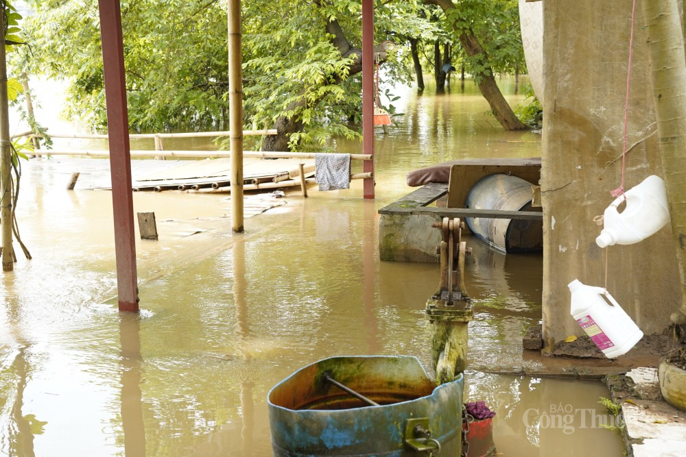Không chỉ khó khăn trong việc đi lại, nước dâng cao khiến cuộc sống, sinh hoạt của người dân vùng ven sông, bãi giữa sông Hồng bị ảnh hưởng lớn. Nhiều hộ phải chuyển đồ đạc lên cao để tránh ngập úng khi nước sông dâng lên.