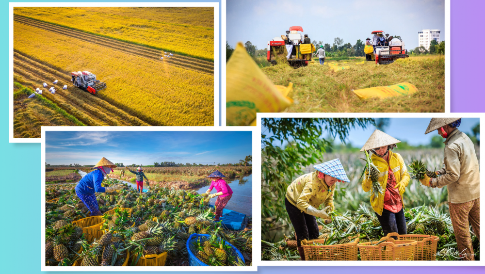 Khát vọng Hậu Giang Khát vọng Hậu Giang