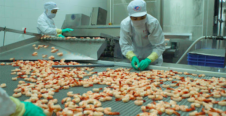 Giao thương trực tuyến Việt Nam – Bulgaria: Cơ hội cho hàng Việt giao-thuong-truc-tuyen-viet-nam-bulgaria-co-hoi-cho-hang-viet