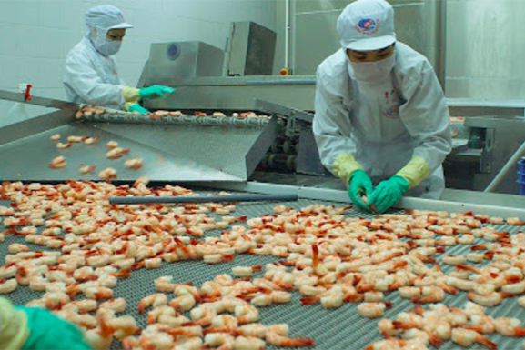 Sắp diễn ra giao thương trực tuyến Việt Nam – Bulgaria