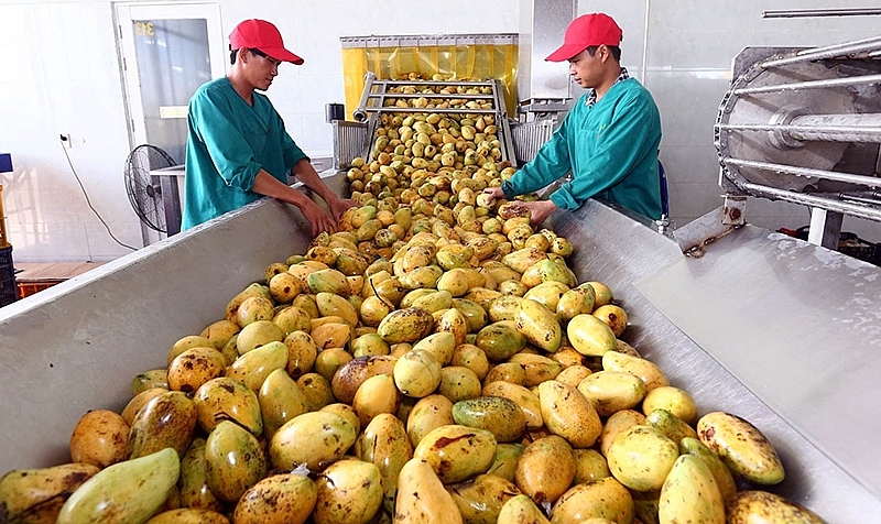 Tiếp sức nông sản, thực phẩm Việt vươn ra thế giới doanh-nghiep-ngoai-tim-kiem-nha-cung-ung-nong-san-thuc-pham-viet-nam