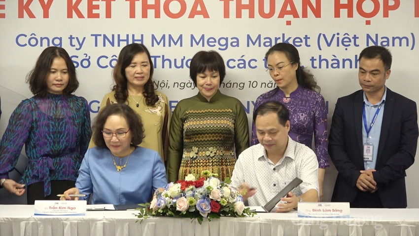 undefined 5536-mm7-copy