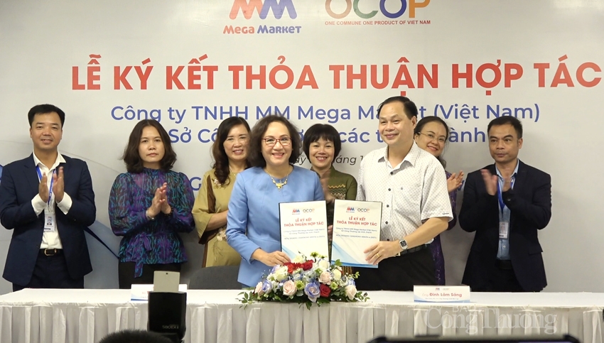 undefined 5537-mm6-copy